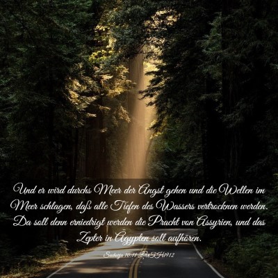 Picture 03 - Sacharja 10:11 LUTH1912 - Und er wird durchs Meer der Angst gehen und die - Bible Verse Picture