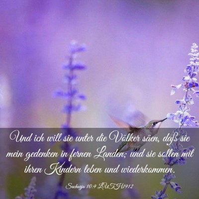 Picture 03 - Sacharja 10:9 LUTH1912 - Und ich will sie unter die Völker säen, daß - Bible Verse Picture