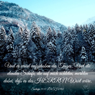 Picture 03 - Sacharja 11:11 LUTH1912 - Und er ward aufgehoben des Tages. Und die elenden - Bible Verse Picture