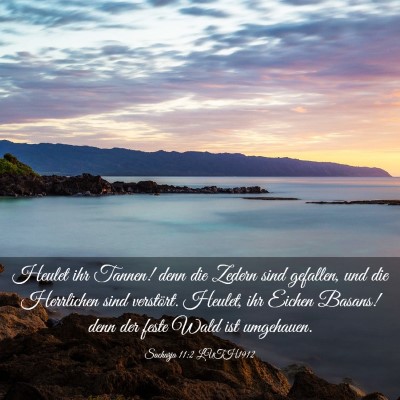 Picture 03 - Sacharja 11:2 LUTH1912 - Heulet ihr Tannen! denn die Zedern sind gefallen, - Bible Verse Picture