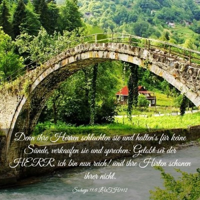 Picture 03 - Sacharja 11:5 LUTH1912 - Denn ihre Herren schlachten sie und halten's für - Bible Verse Picture