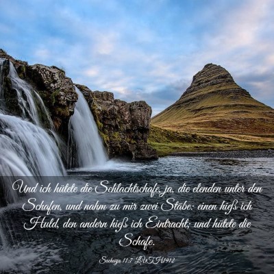 Picture 03 - Sacharja 11:7 LUTH1912 - Und ich hütete die Schlachtschafe, ja, die - Bible Verse Picture