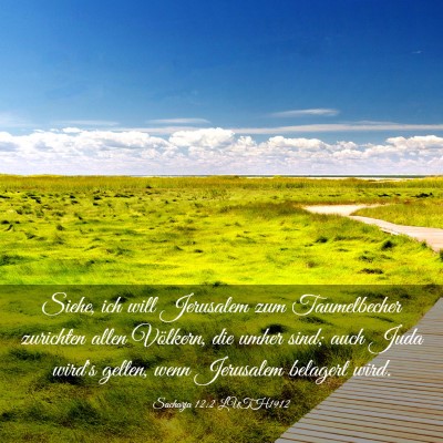 Picture 03 - Sacharja 12:2 LUTH1912 - Siehe, ich will Jerusalem zum Taumelbecher - Bible Verse Picture