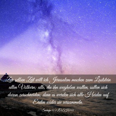 Picture 03 - Sacharja 12:3 LUTH1912 - Zur selben Zeit will ich Jerusalem machen zum - Bible Verse Picture