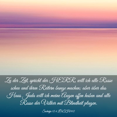 Picture 03 - Sacharja 12:4 LUTH1912 - Zu der Zeit, spricht der HERR, will ich alle - Bible Verse Picture