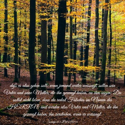 Picture 03 - Sacharja 13:3 LUTH1912 - daß es also gehen soll: wenn jemand weiter - Bible Verse Picture
