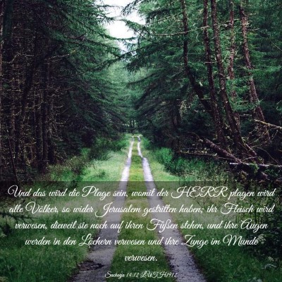 Picture 03 - Sacharja 14:12 LUTH1912 - Und das wird die Plage sein, womit der HERR - Bible Verse Picture