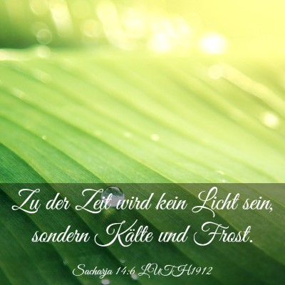 Picture 03 - Sacharja 14:6 LUTH1912 - Zu der Zeit wird kein Licht sein, sondern Kälte - Bible Verse Picture