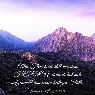 Picture 03 - Sacharja 2:13 LUTH1912 - Alles Fleisch sei still vor dem HERRN; denn er - Bible Verse Picture