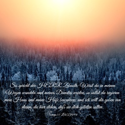 Picture 03 - Sacharja 3:7 LUTH1912 - So spricht der HERR Zebaoth: Wirst du in meinen - Bible Verse Picture