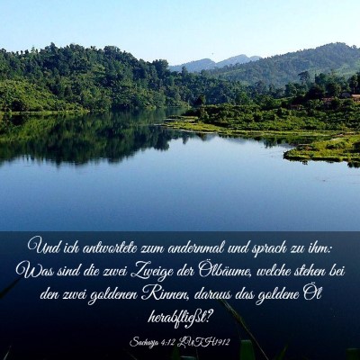 Picture 03 - Sacharja 4:12 LUTH1912 - Und ich antwortete zum andernmal und sprach zu - Bible Verse Picture