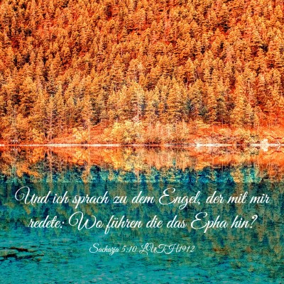 Picture 03 - Sacharja 5:10 LUTH1912 - Und ich sprach zu dem Engel, der mit mir redete: - Bible Verse Picture
