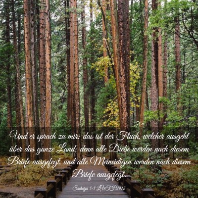 Picture 03 - Sacharja 5:3 LUTH1912 - Und er sprach zu mir: das ist der Fluch, welcher - Bible Verse Picture