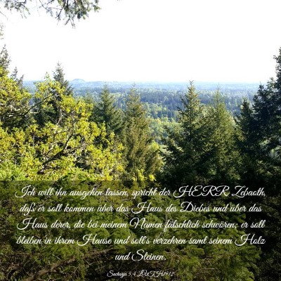 Picture 03 - Sacharja 5:4 LUTH1912 - Ich will ihn ausgehen lassen, spricht der HERR - Bible Verse Picture