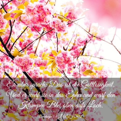Picture 03 - Sacharja 5:8 LUTH1912 - Er aber sprach: Das ist die Gottlosigkeit. Und er - Bible Verse Picture