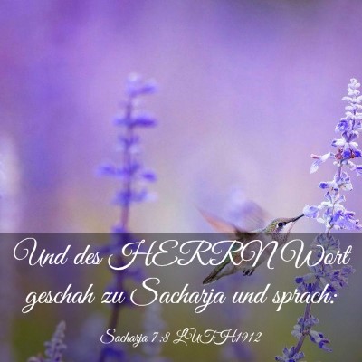 Picture 03 - Sacharja 7:8 LUTH1912 - Und des HERRN Wort geschah zu Sacharja und - Bible Verse Picture