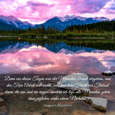 Picture 03 - Sacharja 8:10 LUTH1912 - Denn vor diesen Tagen war der Menschen Arbeit - Bible Verse Picture