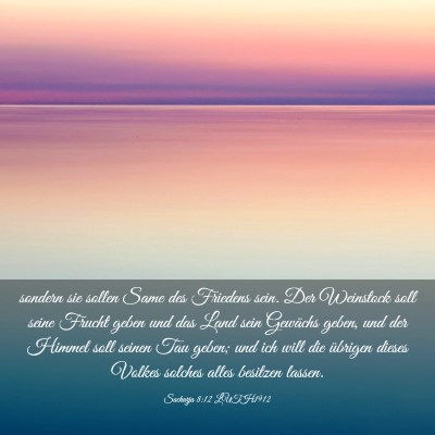 Picture 03 - Sacharja 8:12 LUTH1912 - sondern sie sollen Same des Friedens sein. Der - Bible Verse Picture