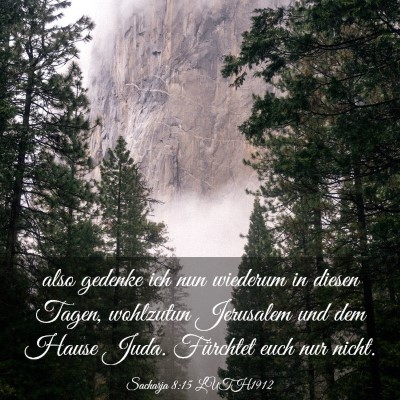 Picture 03 - Sacharja 8:15 LUTH1912 - also gedenke ich nun wiederum in diesen Tagen, - Bible Verse Picture