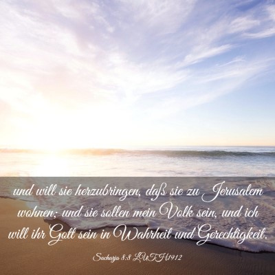 Picture 03 - Sacharja 8:8 LUTH1912 - und will sie herzubringen, daß sie zu Jerusalem - Bible Verse Picture