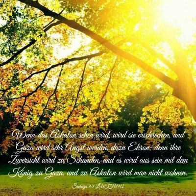 Picture 03 - Sacharja 9:5 LUTH1912 - Wenn das Askalon sehen wird, wird sie - Bible Verse Picture