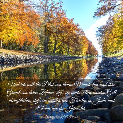 Picture 03 - Sacharja 9:7 LUTH1912 - Und ich will ihr Blut von ihrem Munde tun und - Bible Verse Picture