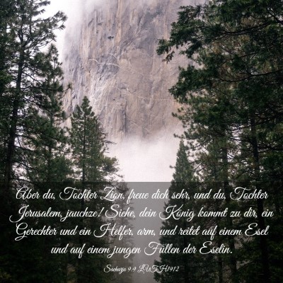 Picture 03 - Sacharja 9:9 LUTH1912 - Aber du, Tochter Zion, freue dich sehr, und du, - Bible Verse Picture