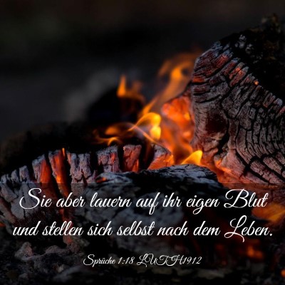 Picture 03 - Sprüche 1:18 LUTH1912 - Sie aber lauern auf ihr eigen Blut und stellen - Bible Verse Picture
