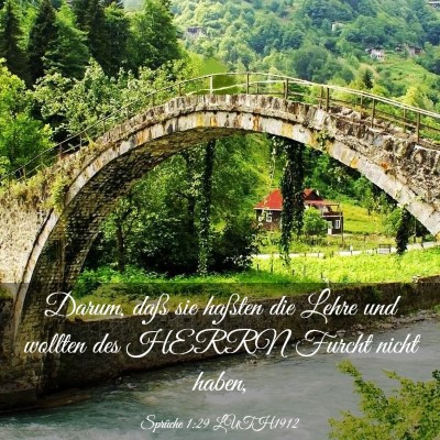 Picture 03 - Sprüche 1:29 LUTH1912 - Darum, daß sie haßten die Lehre und wollten des - Bible Verse Picture