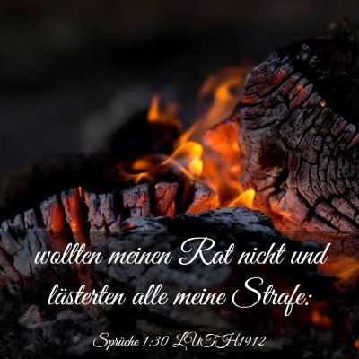 Picture 03 - Sprüche 1:30 LUTH1912 - wollten meinen Rat nicht und lästerten alle - Bible Verse Picture