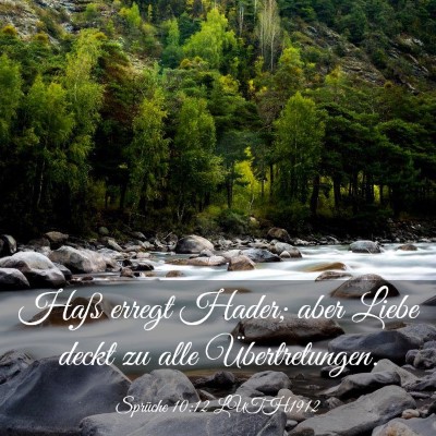 Picture 03 - Sprüche 10:12 LUTH1912 - Haß erregt Hader; aber Liebe deckt zu alle - Bible Verse Picture