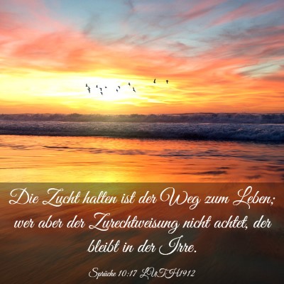 Picture 03 - Sprüche 10:17 LUTH1912 - Die Zucht halten ist der Weg zum Leben; wer aber - Bible Verse Picture