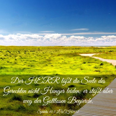 Picture 03 - Sprüche 10:3 LUTH1912 - Der HERR läßt die Seele des Gerechten nicht - Bible Verse Picture