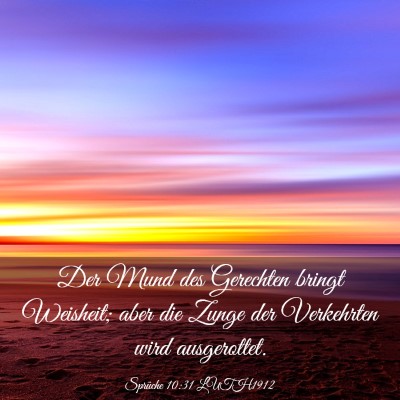 Picture 03 - Sprüche 10:31 LUTH1912 - Der Mund des Gerechten bringt Weisheit; aber die - Bible Verse Picture