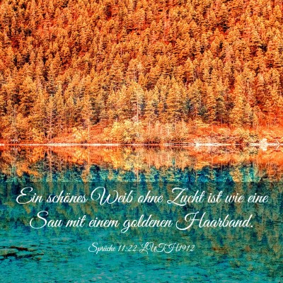 Picture 03 - Sprüche 11:22 LUTH1912 - Ein schönes Weib ohne Zucht ist wie eine Sau mit - Bible Verse Picture