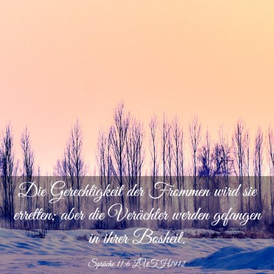 Picture 03 - Sprüche 11:6 LUTH1912 - Die Gerechtigkeit der Frommen wird sie erretten; - Bible Verse Picture