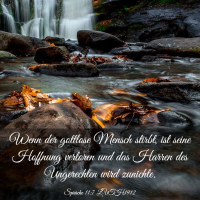 Picture 03 - Sprüche 11:7 LUTH1912 - Wenn der gottlose Mensch stirbt, ist seine - Bible Verse Picture
