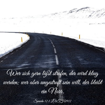 Picture 03 - Sprüche 12:1 LUTH1912 - Wer sich gern läßt strafen, der wird klug - Bible Verse Picture