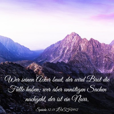 Picture 03 - Sprüche 12:11 LUTH1912 - Wer seinen Acker baut, der wird Brot die Fülle - Bible Verse Picture
