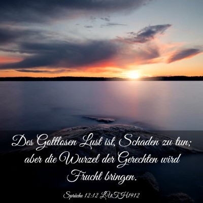 Picture 03 - Sprüche 12:12 LUTH1912 - Des Gottlosen Lust ist, Schaden zu tun; aber die - Bible Verse Picture