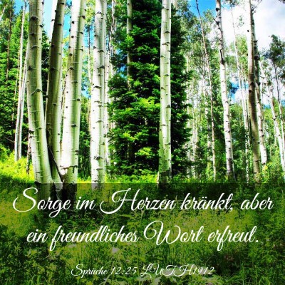 Picture 03 - Sprüche 12:25 LUTH1912 - Sorge im Herzen kränkt, aber ein freundliches - Bible Verse Picture