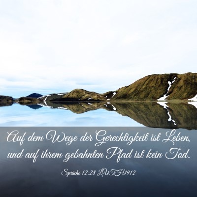 Picture 03 - Sprüche 12:28 LUTH1912 - Auf dem Wege der Gerechtigkeit ist Leben, und auf - Bible Verse Picture