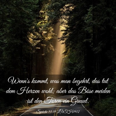 Picture 03 - Sprüche 13:19 LUTH1912 - Wenn's kommt, was man begehrt, das tut dem Herzen - Bible Verse Picture