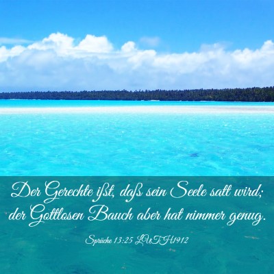 Picture 03 - Sprüche 13:25 LUTH1912 - Der Gerechte ißt, daß sein Seele satt wird; der - Bible Verse Picture