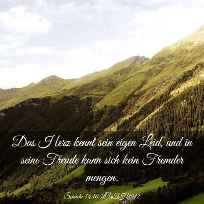 Picture 03 - Sprüche 14:10 LUTH1912 - Das Herz kennt sein eigen Leid, und in seine - Bible Verse Picture