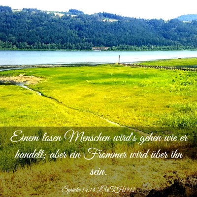 Picture 03 - Sprüche 14:14 LUTH1912 - Einem losen Menschen wird's gehen wie er handelt; - Bible Verse Picture