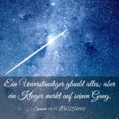 Picture 03 - Sprüche 14:15 LUTH1912 - Ein Unverständiger glaubt alles; aber ein Kluger - Bible Verse Picture