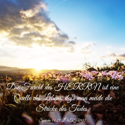 Picture 03 - Sprüche 14:27 LUTH1912 - Die Furcht des HERRN ist eine Quelle des Lebens, - Bible Verse Picture