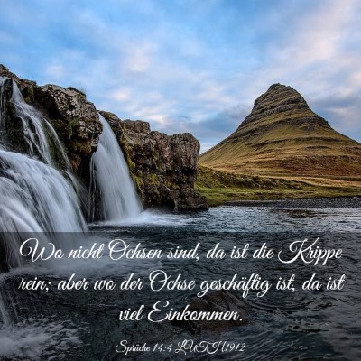 Picture 03 - Sprüche 14:4 LUTH1912 - Wo nicht Ochsen sind, da ist die Krippe rein; - Bible Verse Picture