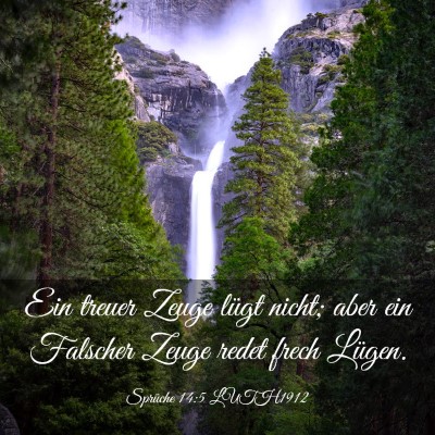 Picture 03 - Sprüche 14:5 LUTH1912 - Ein treuer Zeuge lügt nicht; aber ein Falscher - Bible Verse Picture